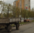 В МПКХ Обнинска ответили жителям, критикующим форму каштанов - Obninsk.Name