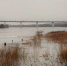 Внимание, паводок! Вода прибывает - NgRegion.Ru