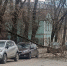 В Обнинске вчера упали 2 дерева - NgRegion.Ru