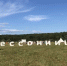 В Калужской области отгремел международный фестиваль авторской анимации «Бессонница» - NgRegion.Ru
