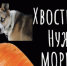 Как кролики, только собачки - NgRegion.Ru