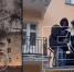 В Обнинске успешно прошла операция по спасению кота с дерева в Обнинске - Obninsk.Name