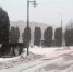 Новый год несет в Калужскую область снегопады и слабые морозы - Obninsk.Name