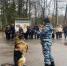 Перед приходом верующих храмы проверят кинологи с собаками - Газета Обнинский Вестник
