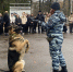 Полицейские проверят храмы перед рождественской службой - NgRegion.Ru