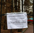 Из-за сильного ветра закрылся Старый парк - NgRegion.Ru