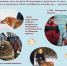 «Новый Ковчег» ждёт гостей - Гaзeтa Обнинск