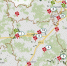 Обнинск зарос борщевиком - NgRegion.Ru