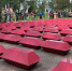 Фото: Владислав Шапша/ТГ - NgRegion.Ru