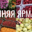 Первая сельскохозяйственная ярмарка в этом сезоне пройдёт 27 сентября - Администрация города