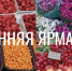 Горожан зовут на ярмарку - NgRegion.Ru
