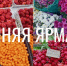 Сельскохозяйственная ярмарка состоится 8 ноября - Администрация города