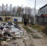 В Жуковском районе закрыли сразу два молочных производства за антисанитарию - NgRegion.Ru
