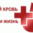 В ворсинской школе проведут донорскую акцию - NgRegion.Ru