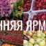 В Обнинске прошла сельскохозяйственная ярмарка - Администрация города