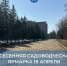 Весенняя садоводческая ярмарка состоится 18 апреля - Администрация города