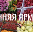 Очередная сельскохозяйственная ярмарка состоится 11 апреля - Администрация города