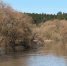 Вода ушла из всех обнинских СНТ - Obninsk.Name